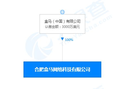 合肥盒馬網絡科技公司成立，注冊資本3000萬美元聚焦網絡信息技術